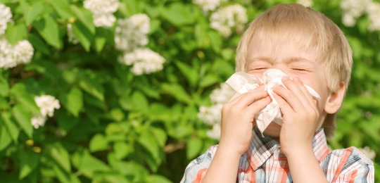 Las alergias primaverales afectan a millones de personas, incluyendo a una gran proporción de niños. 